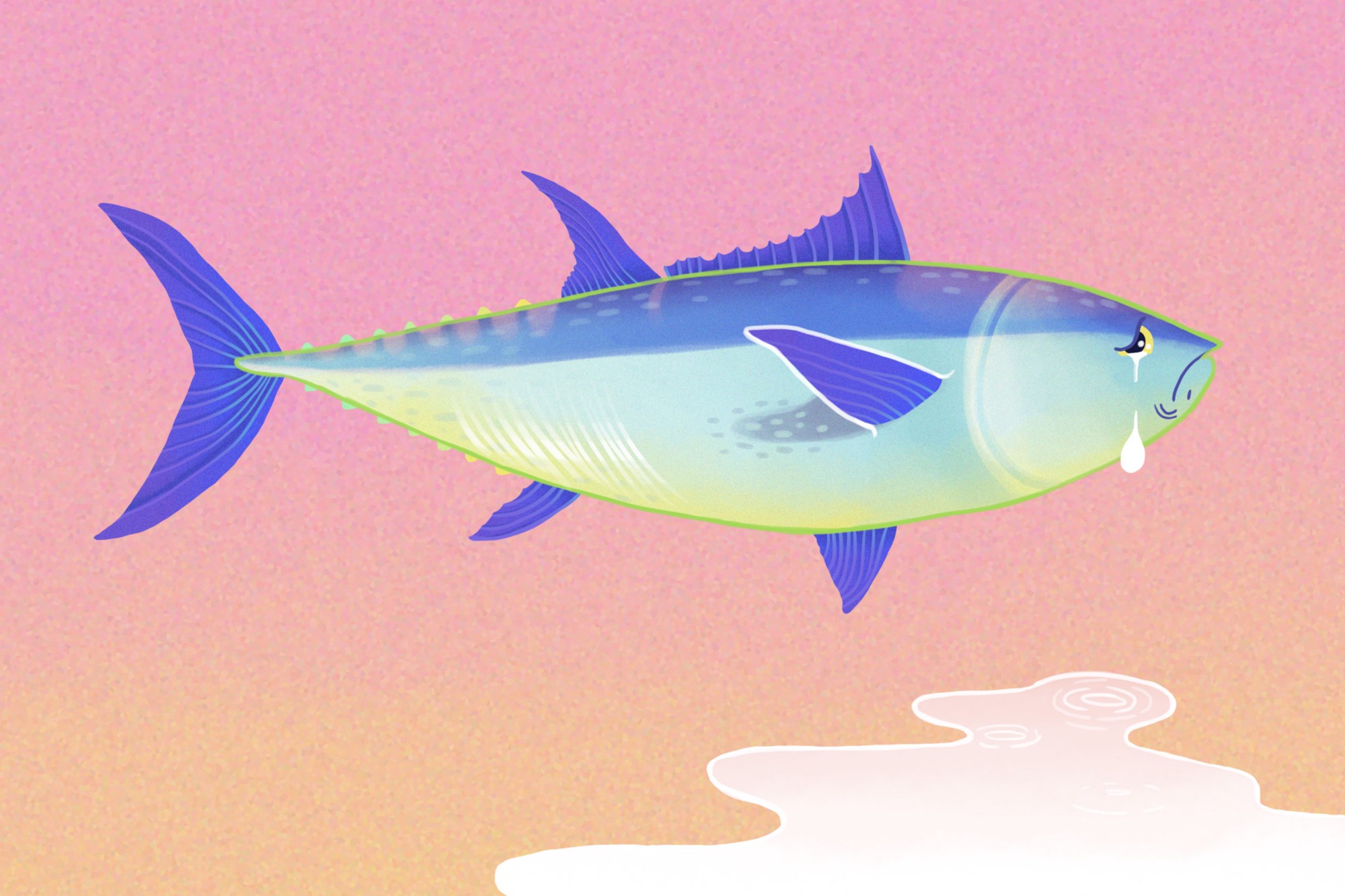 Caught Dead: Why bluefin tuna is the most coveted fish in the sea