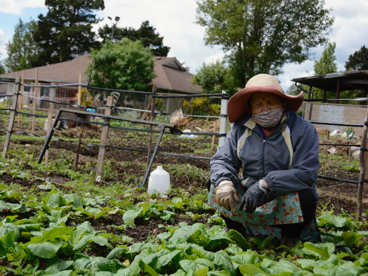 A Community Garden Social Distances Together