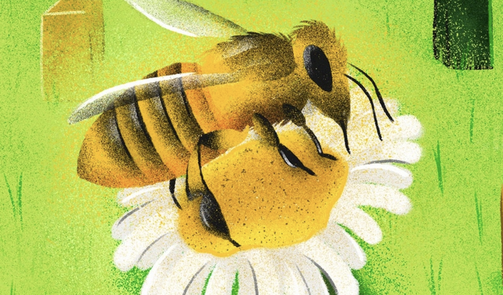 The Trouble with Beekeeping